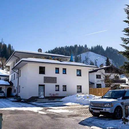 Tirola Bude Lisi 3 Апартаменты Хопфгартен-им-Бриксенталь