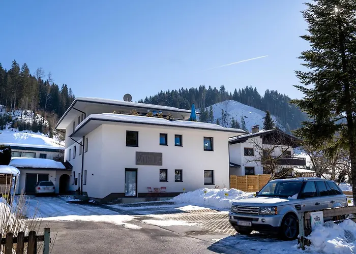 Tirola Bude Lisi 3 Апартаменты Хопфгартен-им-Бриксенталь